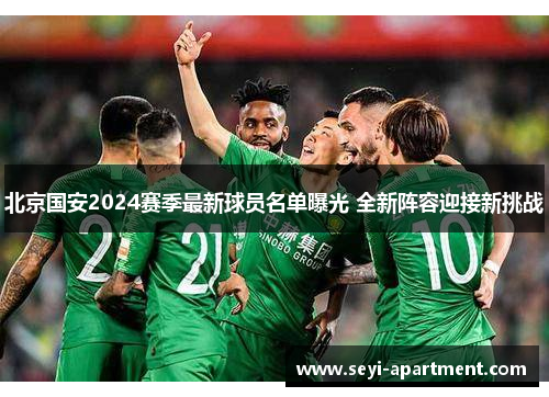 北京国安2024赛季最新球员名单曝光 全新阵容迎接新挑战