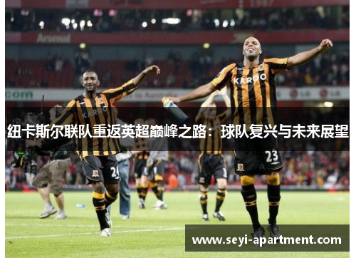 纽卡斯尔联队重返英超巅峰之路：球队复兴与未来展望