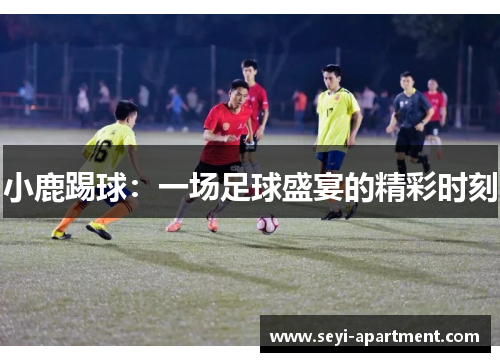 小鹿踢球：一场足球盛宴的精彩时刻