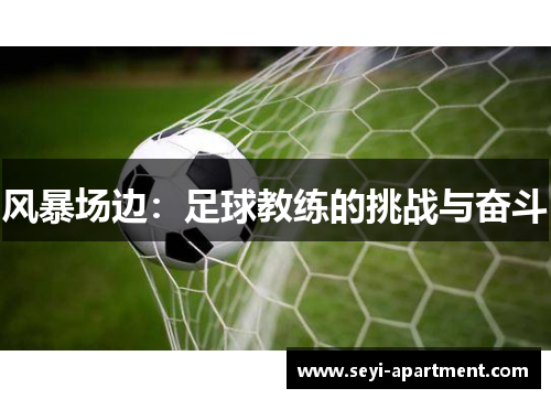 风暴场边：足球教练的挑战与奋斗