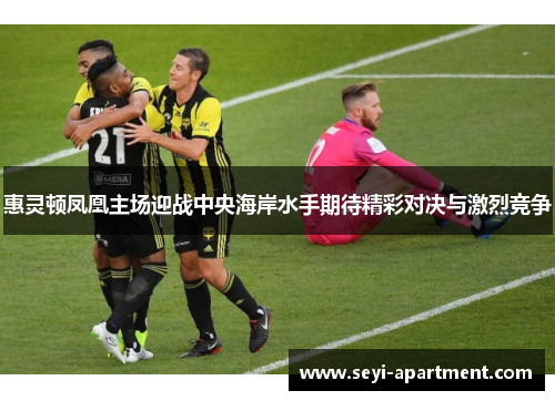 惠灵顿凤凰主场迎战中央海岸水手期待精彩对决与激烈竞争