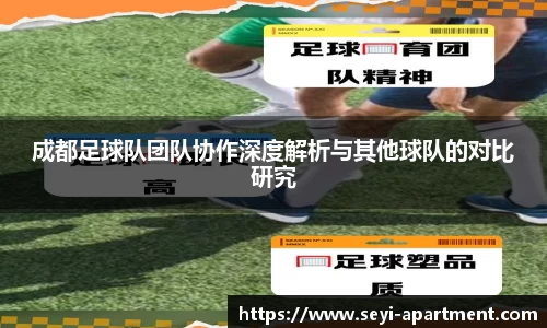 成都足球队团队协作深度解析与其他球队的对比研究